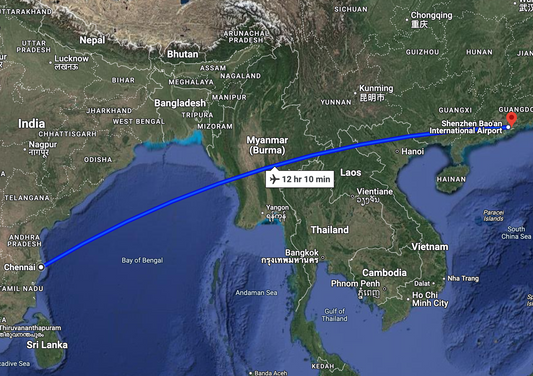 Bodhidharma: A Tale of Patience and Fortitude