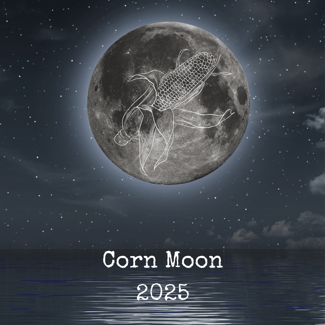 Corn Moon: Gratitude and Abundance