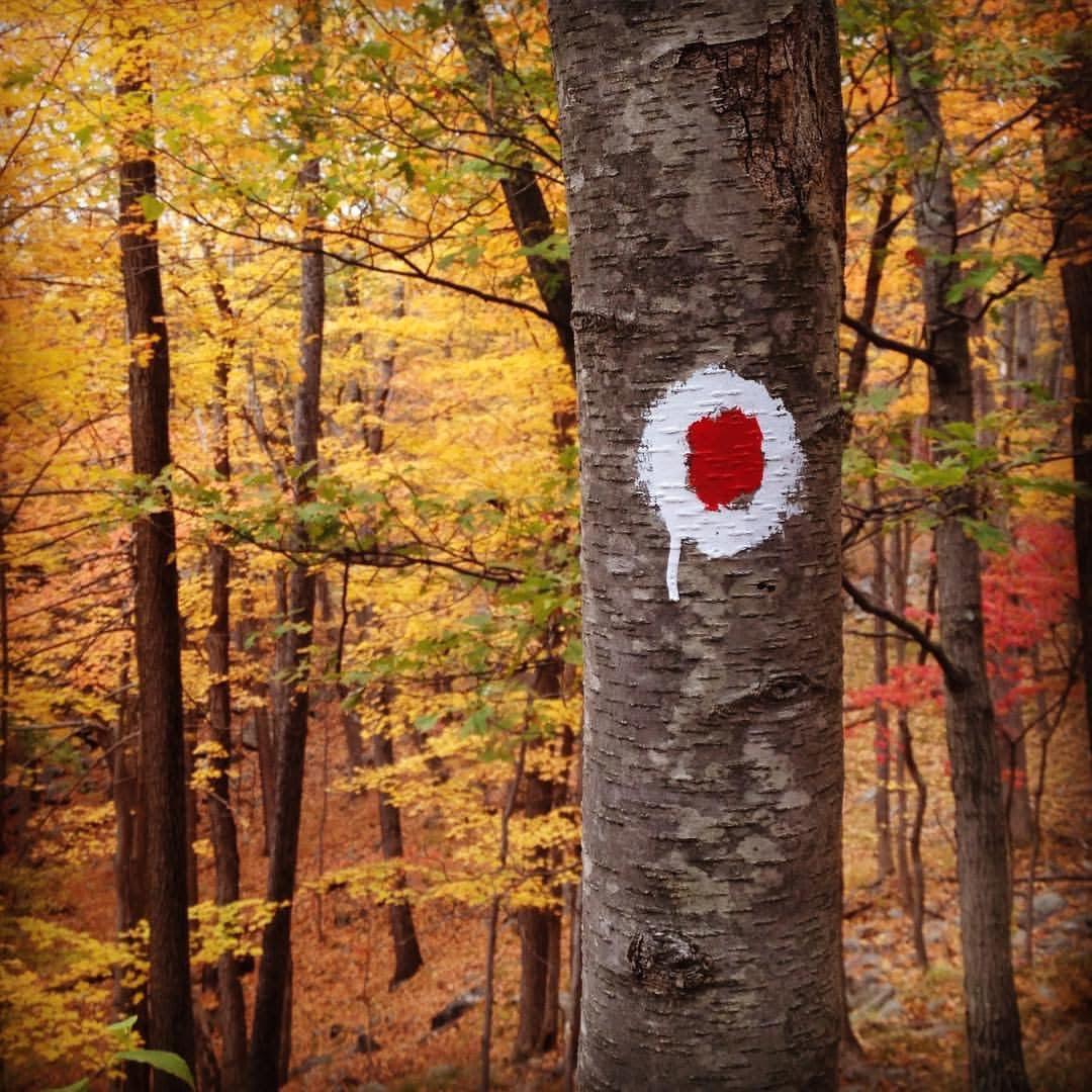 🍁 10 Ways to Stay Healthy & Balanced This Autumn