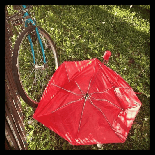 11 Fun Facts That Will Change The Way You Think Of Umbrellas ☔️