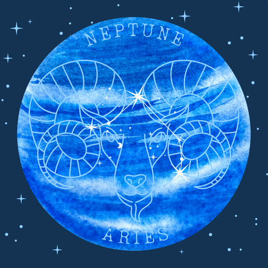 Evolutionary Journey